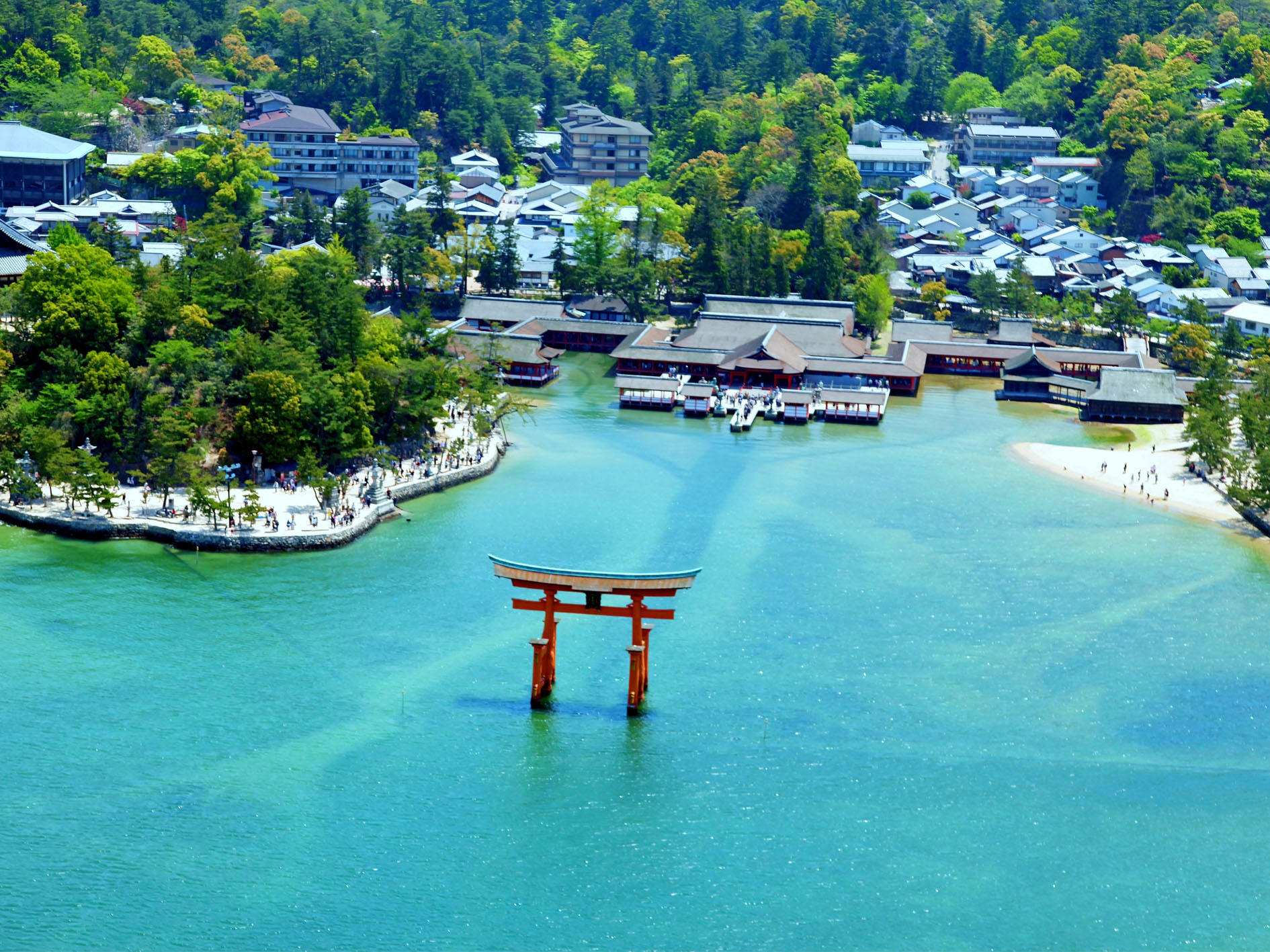 Hiroshima Food and Cuisine